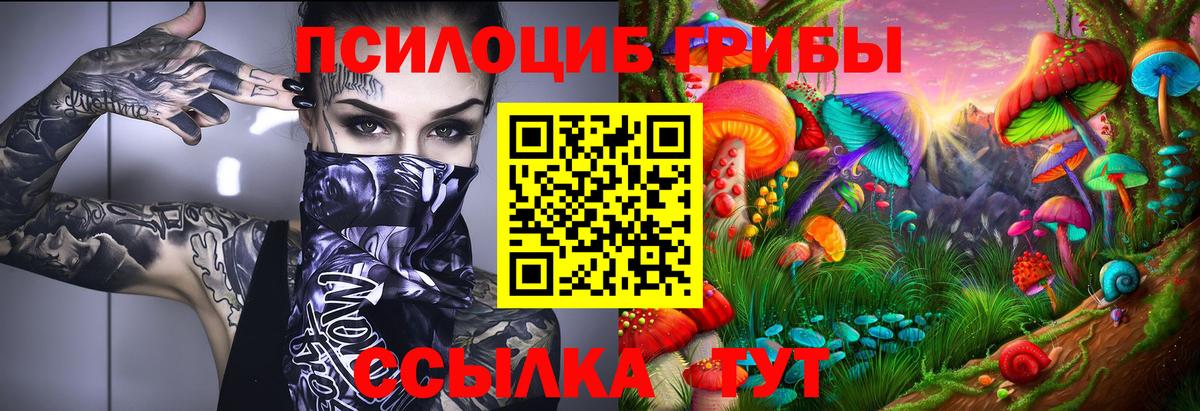 Галлюциногенные грибы Psilocybe  Галлюциногенные грибы ЛСД  Вход с VPN  Электрогорск 