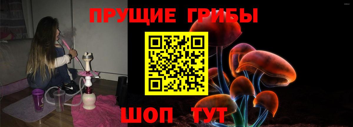 Псилоцибиновые грибы Psilocybine cubensis Электрогорск